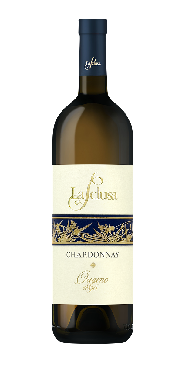 Produzione Vendita chardonnay friuli