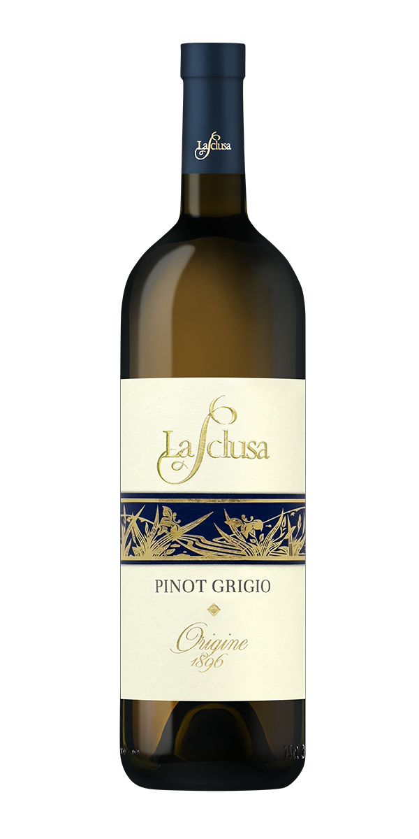 Vendita e Produzione Pinot Grigio Friuli Venezia Giulia 