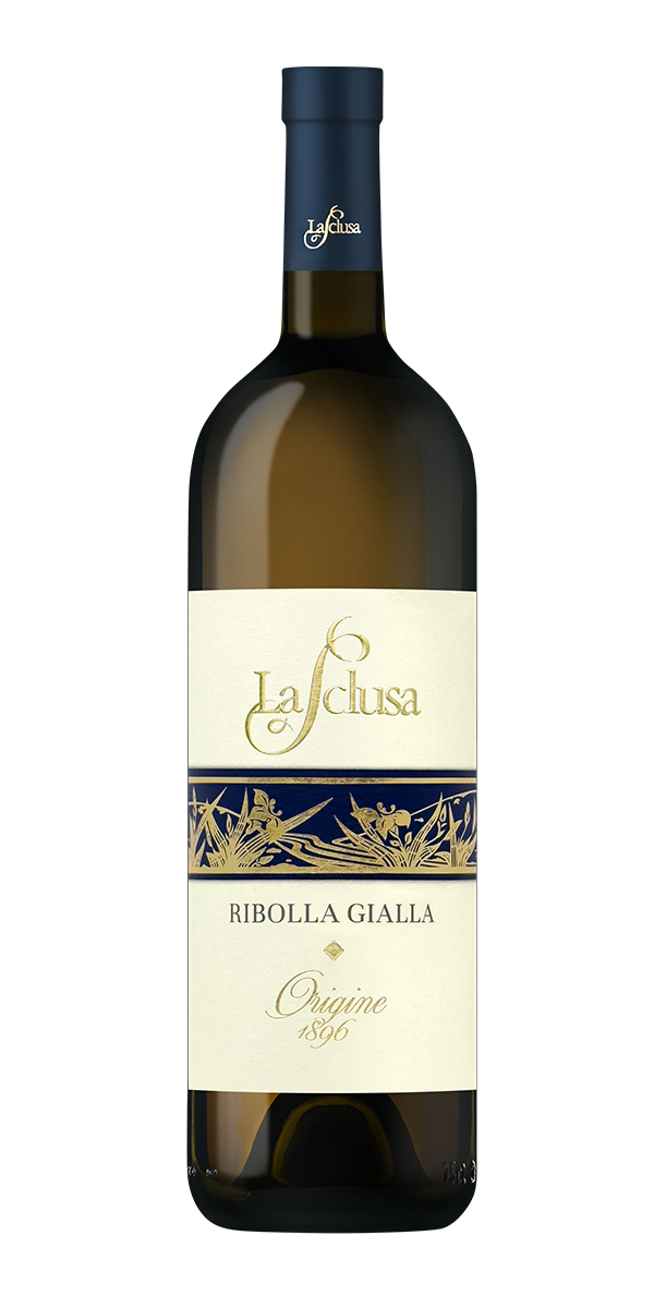 Ribolla Gialla Friuli: Vendita e produzione